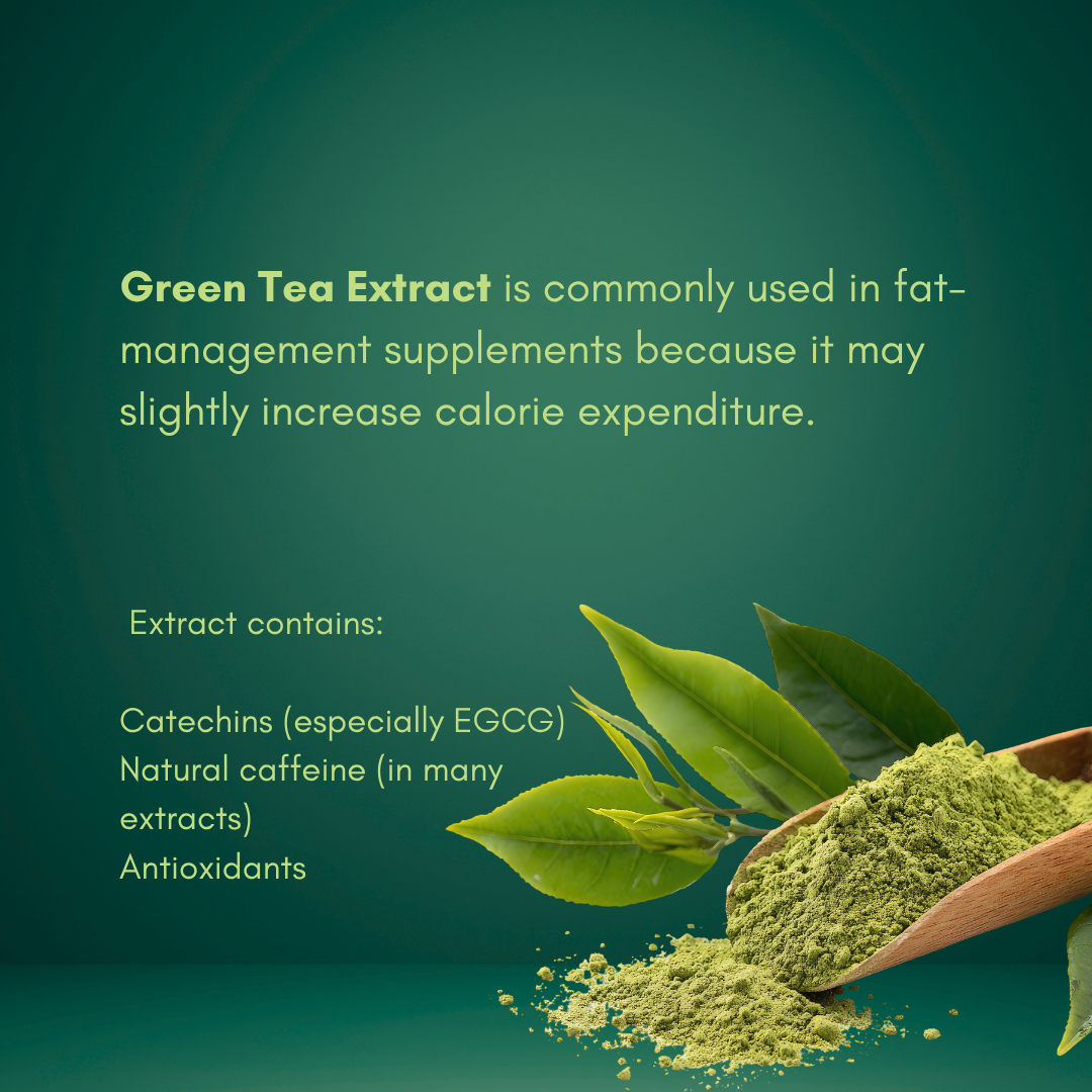 iCure Moringa thumbnail 3