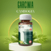 Garcinia Cambogia